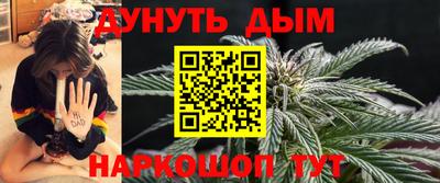 индика Гагарин